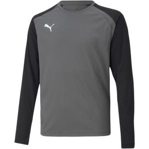 Футболка воротарська Puma teamPACER GK LS Junior 704939-43