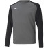 Футболка воротарська Puma teamPACER GK LS Junior 704939-43 Футболка воротарська Puma teamPACER GK LS Junior 704939-43