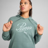 Толстовка SCRIPT Comfort Hoodie 68498330 Puma L Зелений 68498330