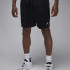 Шорти Jordan MDF SPRT MESH SHORT FN5816-010