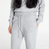 Штани Nike W NSW PHNX FLC HR PANT STD DQ5688-063
