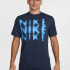 Футболка HJ3074-437 Nike HJ3074-437