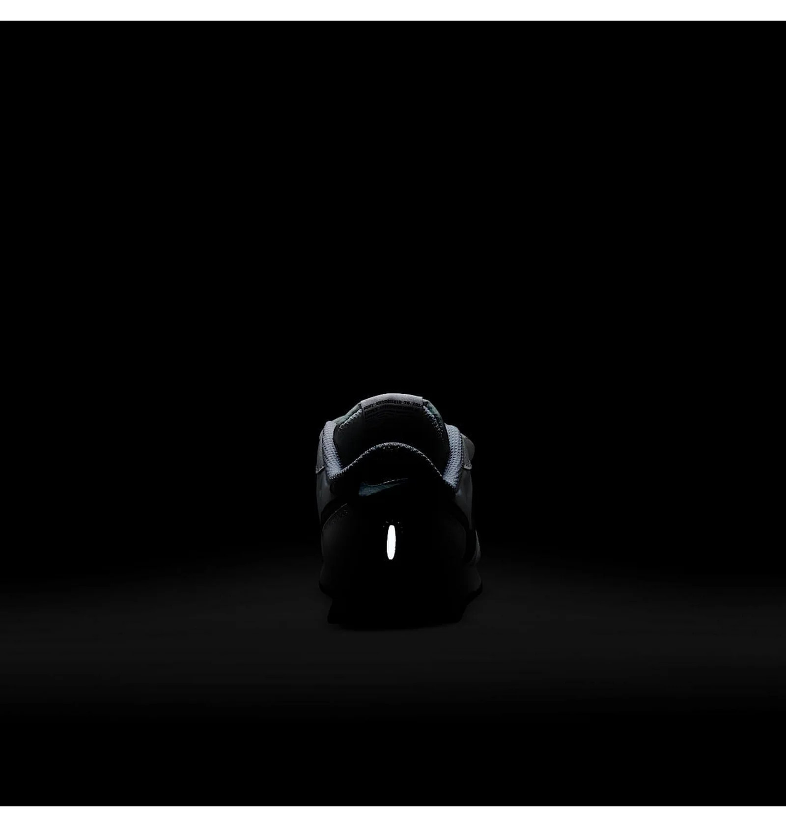 Кросівки Nike MD Valiant CN8559-100