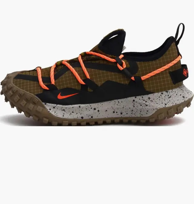 Кросівки Nike ACG MOUNTAIN FLY LOW GTX SE DD2861-200