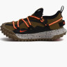 Кросівки Nike ACG MOUNTAIN FLY LOW GTX SE DD2861-200