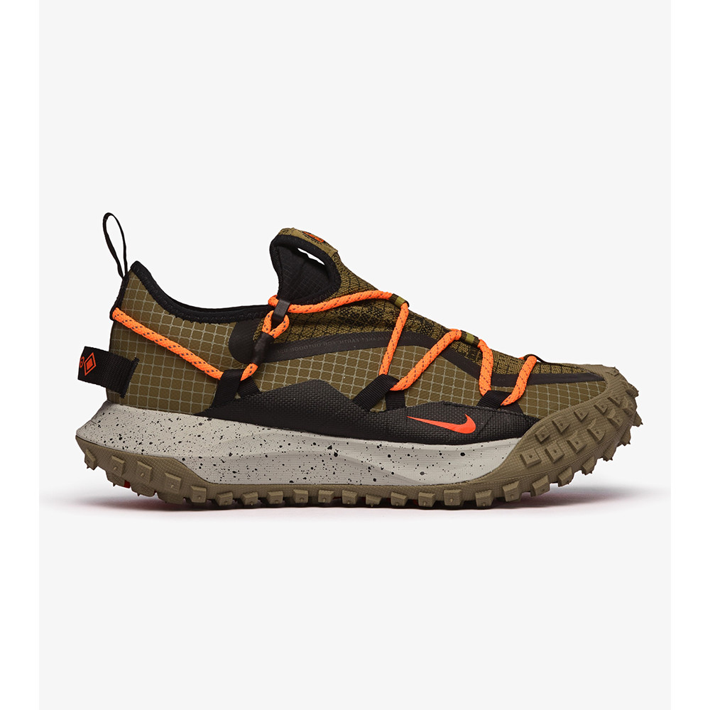 Кросівки Nike ACG MOUNTAIN FLY LOW GTX SE DD2861-200