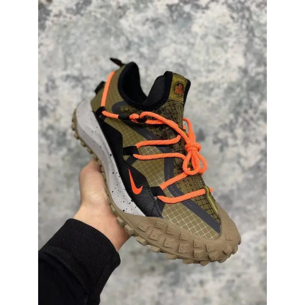 Кросівки Nike ACG MOUNTAIN FLY LOW GTX SE DD2861-200