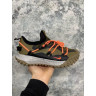 Кросівки Nike ACG MOUNTAIN FLY LOW GTX SE DD2861-200