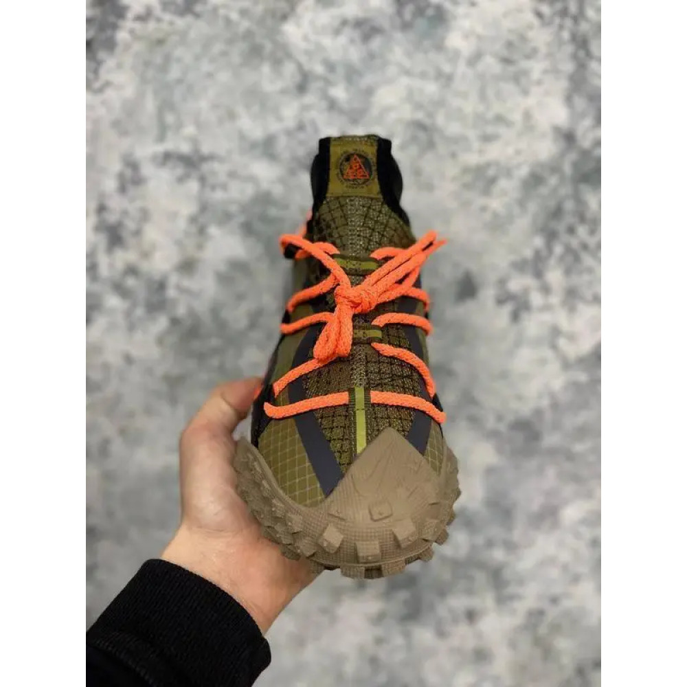 Кросівки Nike ACG MOUNTAIN FLY LOW GTX SE DD2861-200