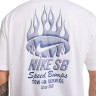 Футболка Nike SB TEE M90 OC TOW HJ0820-100