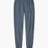 Штани спортивні Patagonia P-6 Label Uprisal 26051PLGY