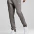 Штани EVOSTRIPE Pants 68461479