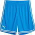Шорти Puma Hoops Team Game Short 676629-07