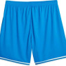 Шорти Puma Hoops Team Game Short 676629-07