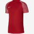 Футболка ігрова Nike Dri-FIT Academy DH8031-657 DH8031-657