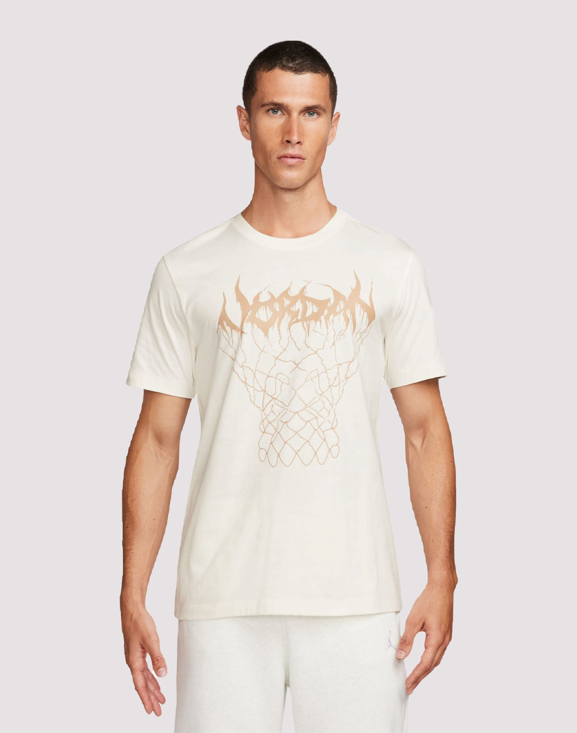 Футболка Air Jordan Dri-Fit Sport Graphic Tee FN5974-133