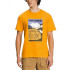 Футболка The North Face Short Sleeve Places We Love Camp Geodesic T-Shirt NF0A811S56P