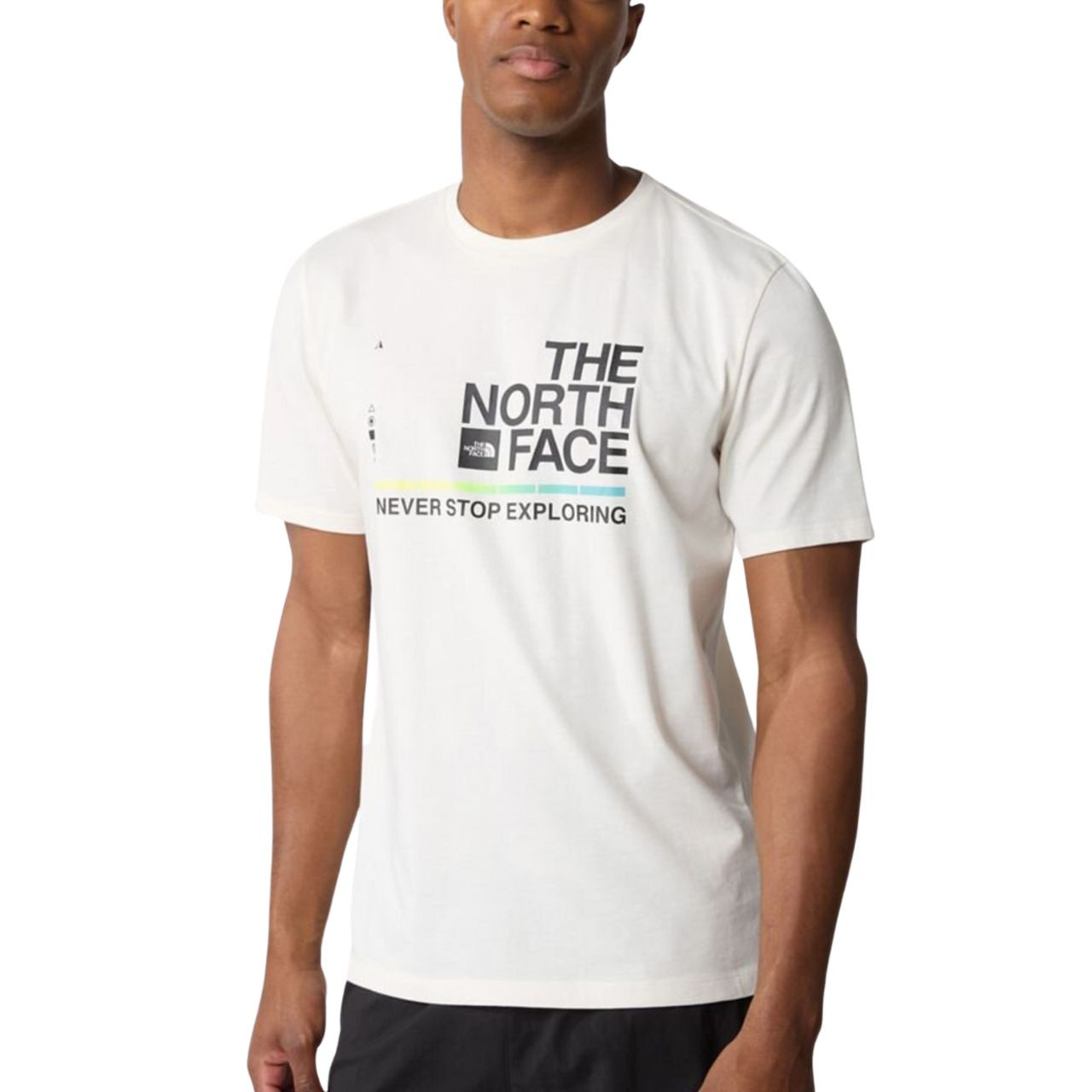 Футболка The North Face FOUNDATION GRAPHIC NF0A55EFQ4C1
