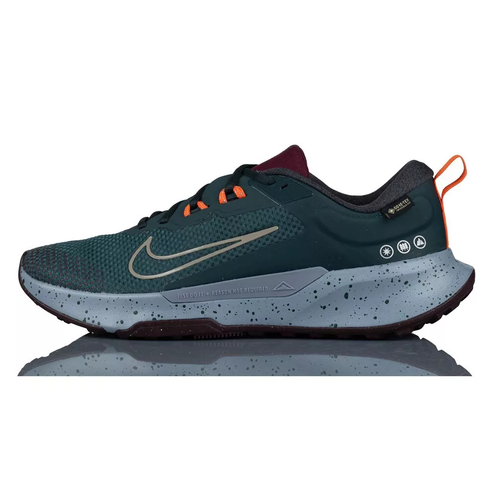 Кросівки Nike Juniper Trail 2 GTX V2 Womens HM9725-300