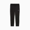 Штани спортивні EVOSTRIPE Sweatpants 68814301 Puma L Чорний 68814301