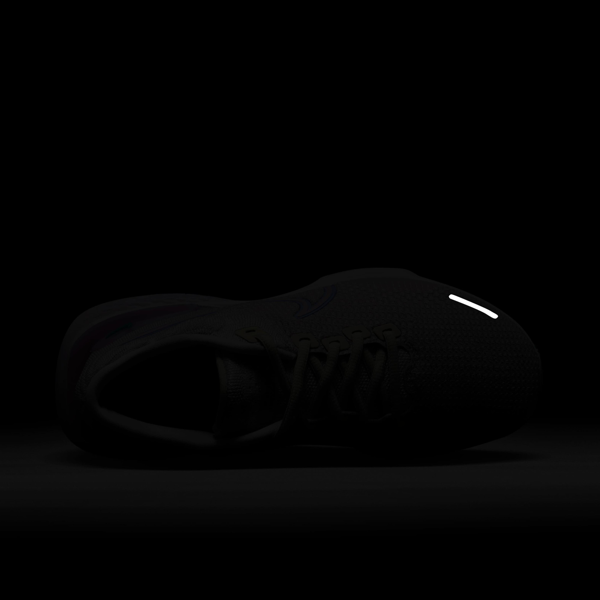 Кросівки жіночі Nike Zoomx Invicible Run Fk 2 DC9993-002