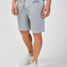 Шорти XLS FT MINI ARCH SHORT 787059-00 GAP L Сірий 787059-00