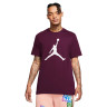 Футболка чоловіча Air Jordan M J Jumpman Ss Crew Bordo Cj0921-680 CJ0921-680