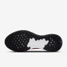 Кросівки Nike REVOLUTION 7 FB2207-003