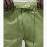 Брюки Air Jordan Essentials Chicago Pants Green FB7305-340
