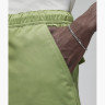 Брюки Air Jordan Essentials Chicago Pants Green FB7305-340