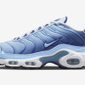 Кросівки Nike AIR MAX PLUS FJ4736-400