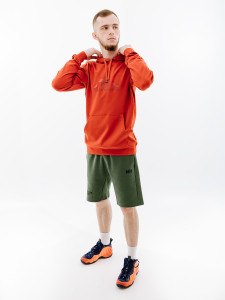 Худі HELLY HANSEN NORD GRAPHIC PULL OVER HOODIE 62975-308