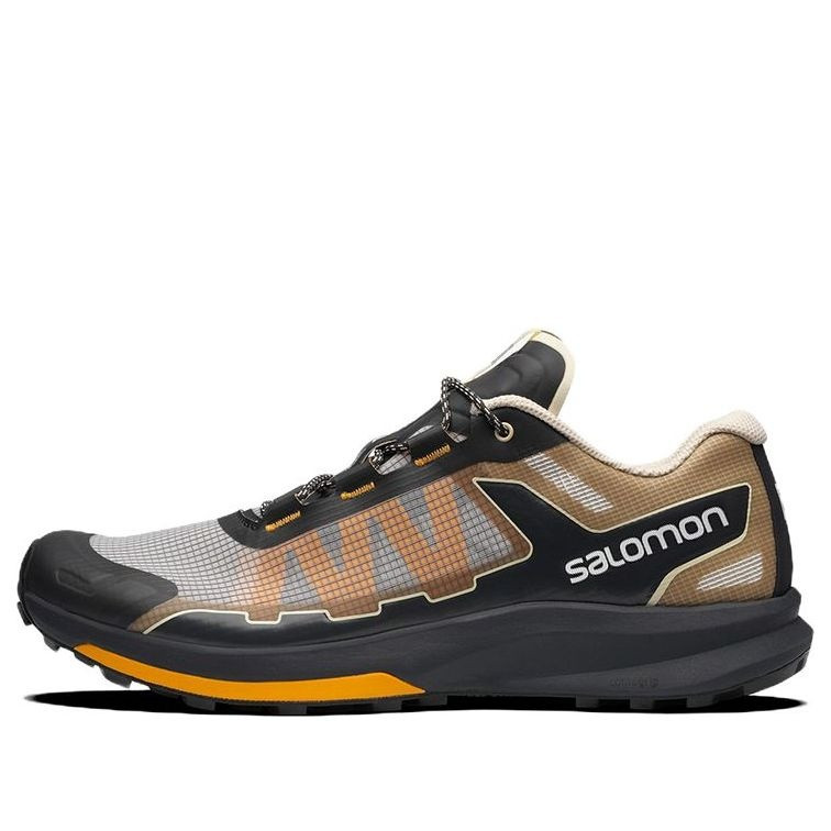 Кросівки Salomon Ultra Raid 414714