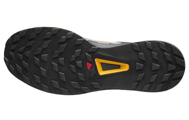 Кросівки Salomon Ultra Raid 414714