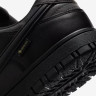Кросівки Nike DUNK LOW GTX HQ2053-001