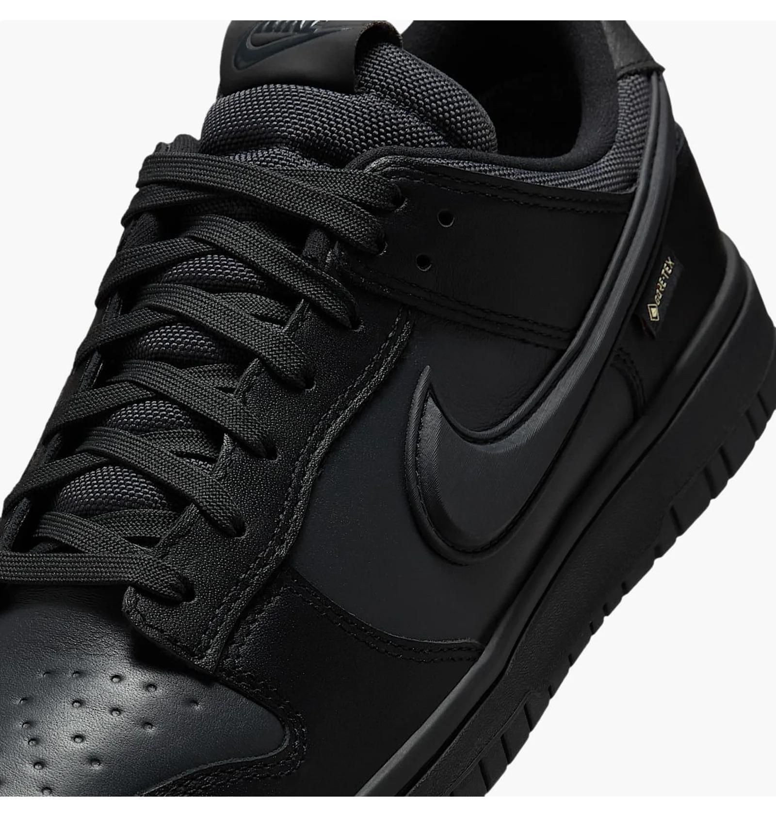 Кросівки Nike DUNK LOW GTX HQ2053-001