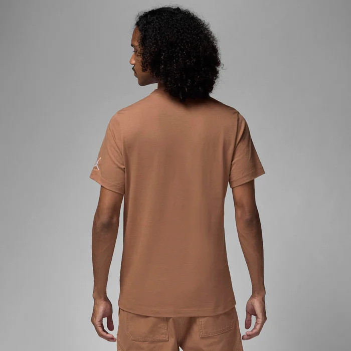 Футболка Air Jordan Air T-Shirt Brown DM3182-223