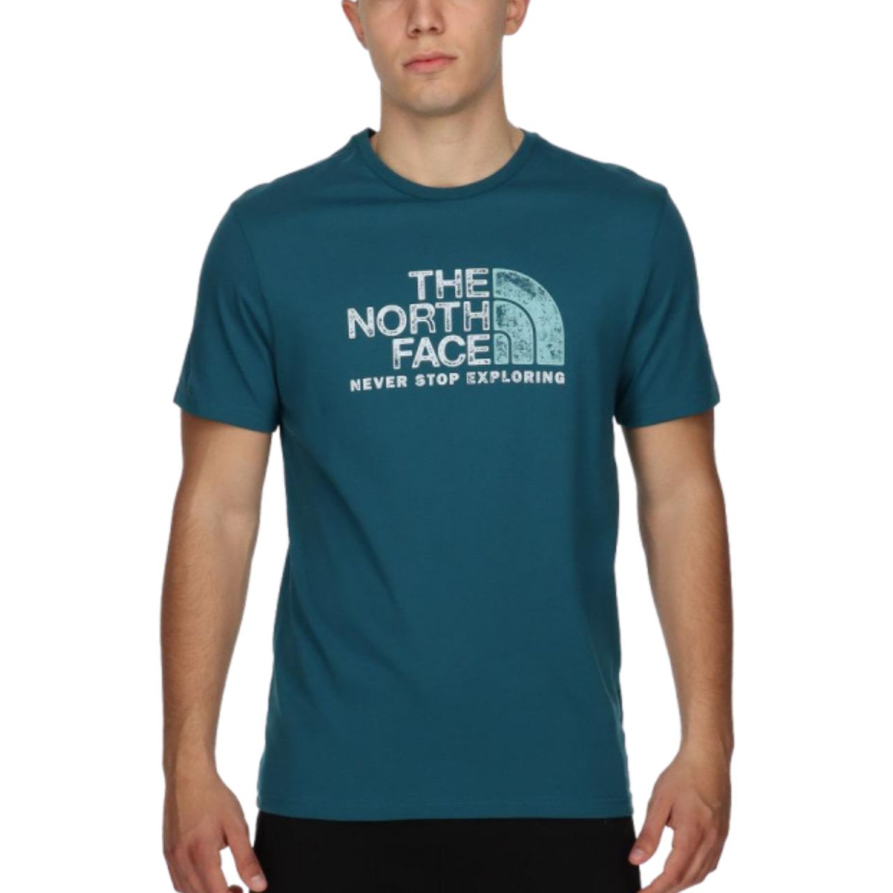 Футболка The North Face S/S RUST 2 TEE NF0A4M68P6C1