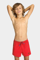 Шорти Arena PRO_FILE BEACH SHORT 006374-480