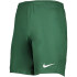 Шорти футбольні дитячі Nike JR Park III Knit BV6865-341 BV6865-341 Шорти футбольні дитячі Nike JR Park III Knit BV6865-341 BV6865-341