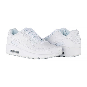 Кросівки Nike AIR MAX 90 LTR (GS) CD6864-100