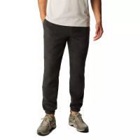 Штани спортивні STEENS MOUNTAIN™ PANT 2054681010 Columbia L Чорний 2054681010