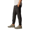 Штани спортивні STEENS MOUNTAIN™ PANT 2054681010 Columbia L Чорний 2054681010