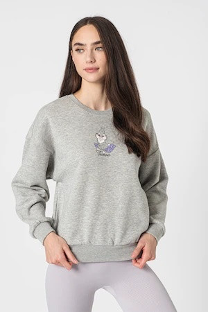 Худі ONLDISNEY LIFE L/S BAMBI BOX SWT 15250089-Light Grey Melange-Print:THUMPER ONLY S Сірий 15250089-Light Grey Melan