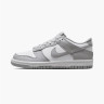 Кросівки Nike DUNK LOW (GS) FB9109-123
