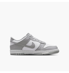 Кросівки Nike DUNK LOW (GS) FB9109-123