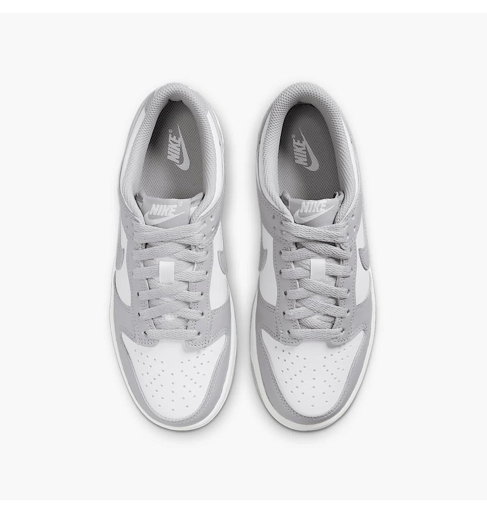 Кросівки Nike DUNK LOW (GS) FB9109-123