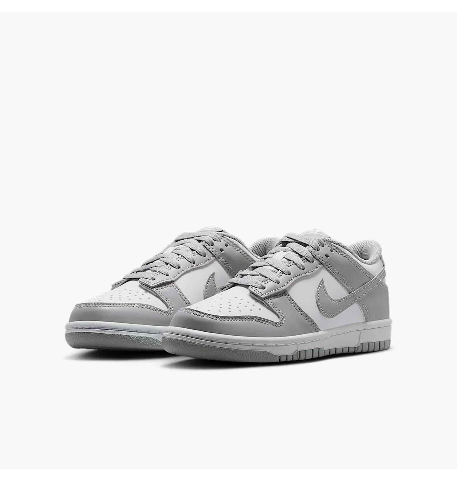 Кросівки Nike DUNK LOW (GS) FB9109-123