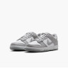 Кросівки Nike DUNK LOW (GS) FB9109-123