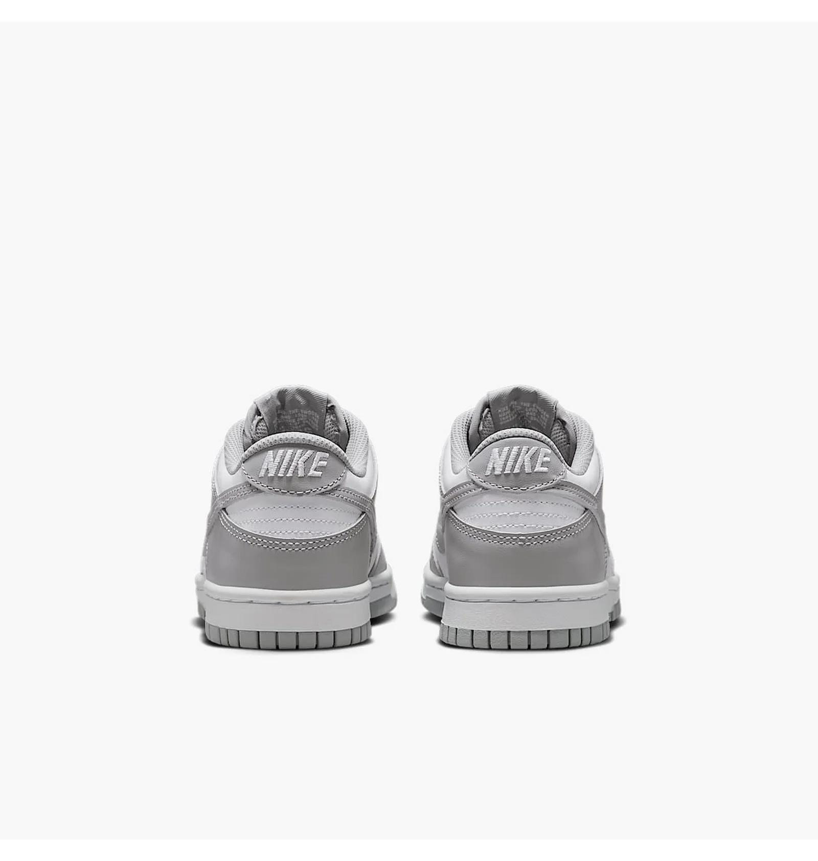 Кросівки Nike DUNK LOW (GS) FB9109-123